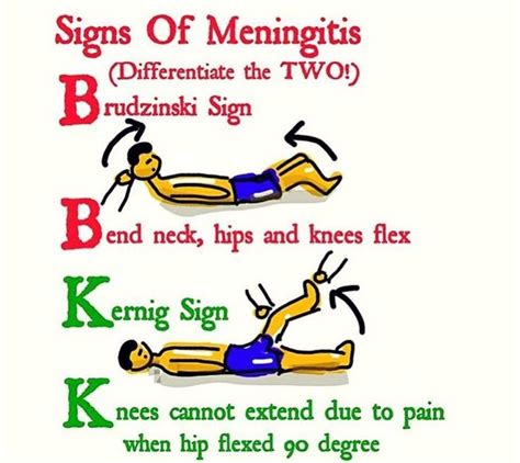 meningitis zeichen amboss